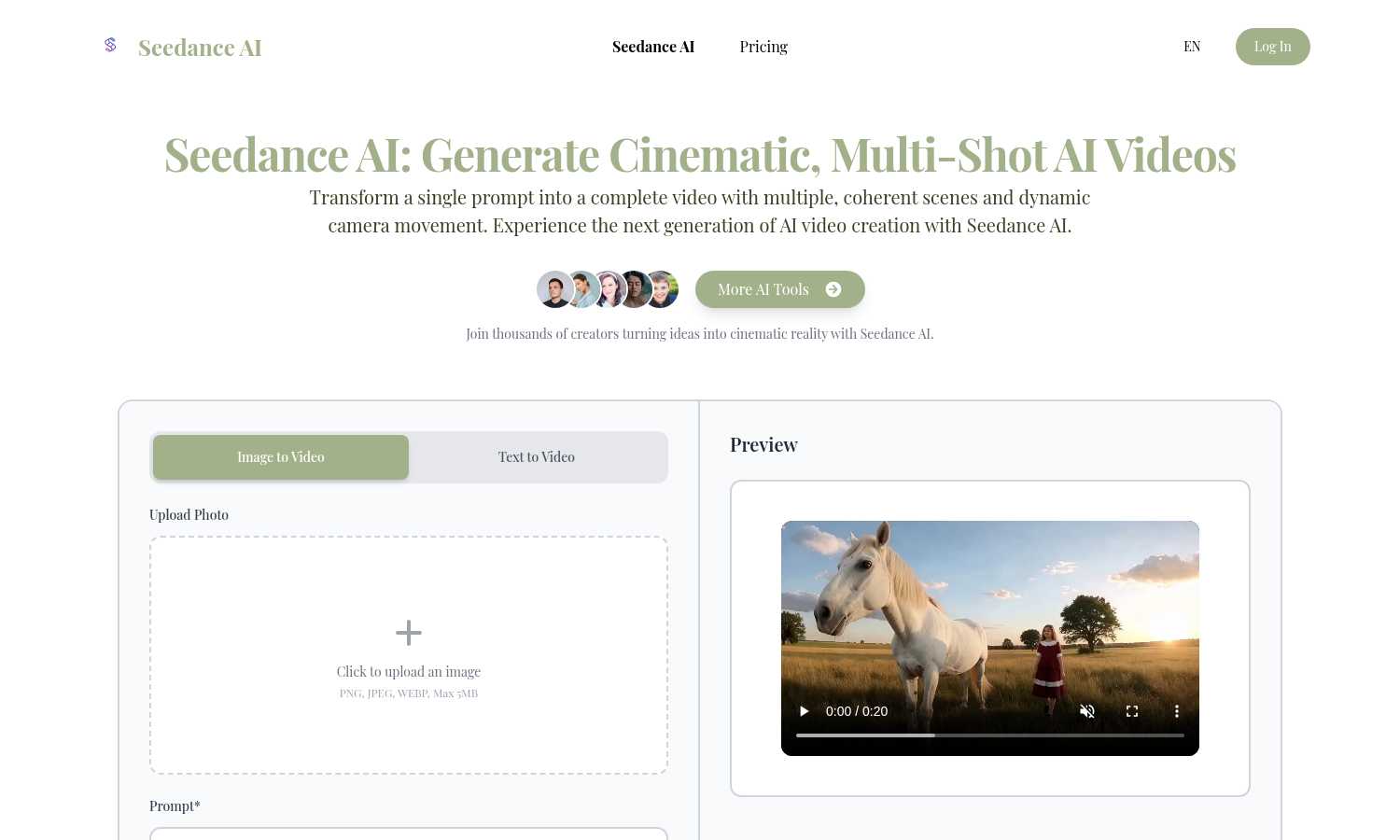 Seedance AI application interface and features