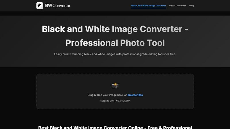 BWConverter application interface and features