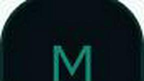   MiroFish
