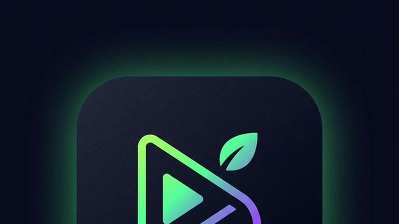 Seedance 2.0 Video application interface and features