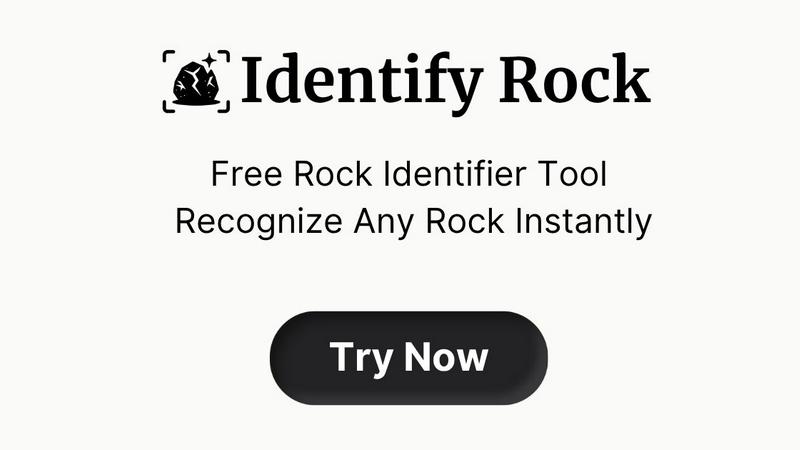 Identify Rock application interface and features